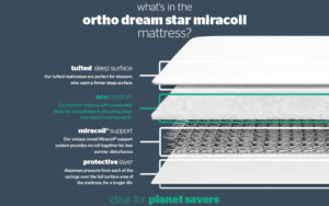 Read more about the article Silentnight Ortho Dream Star Miracoil Mattress Review: Firm Comfort Redefined?