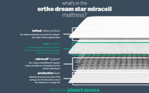 Read more about the article Silentnight Ortho Dream Star Miracoil Mattress Review